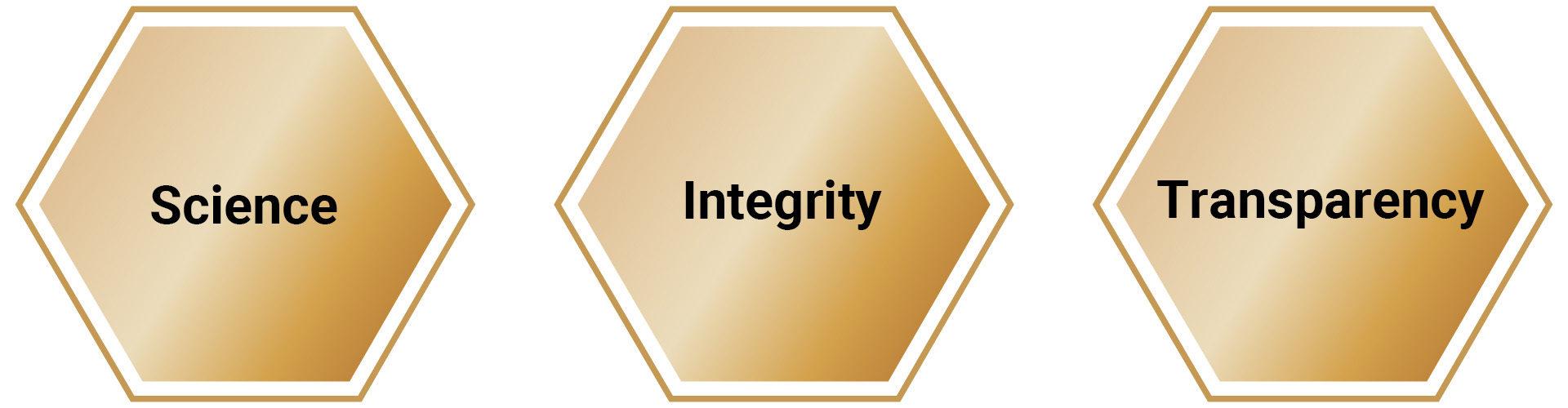 Core_Value&Strategy_en