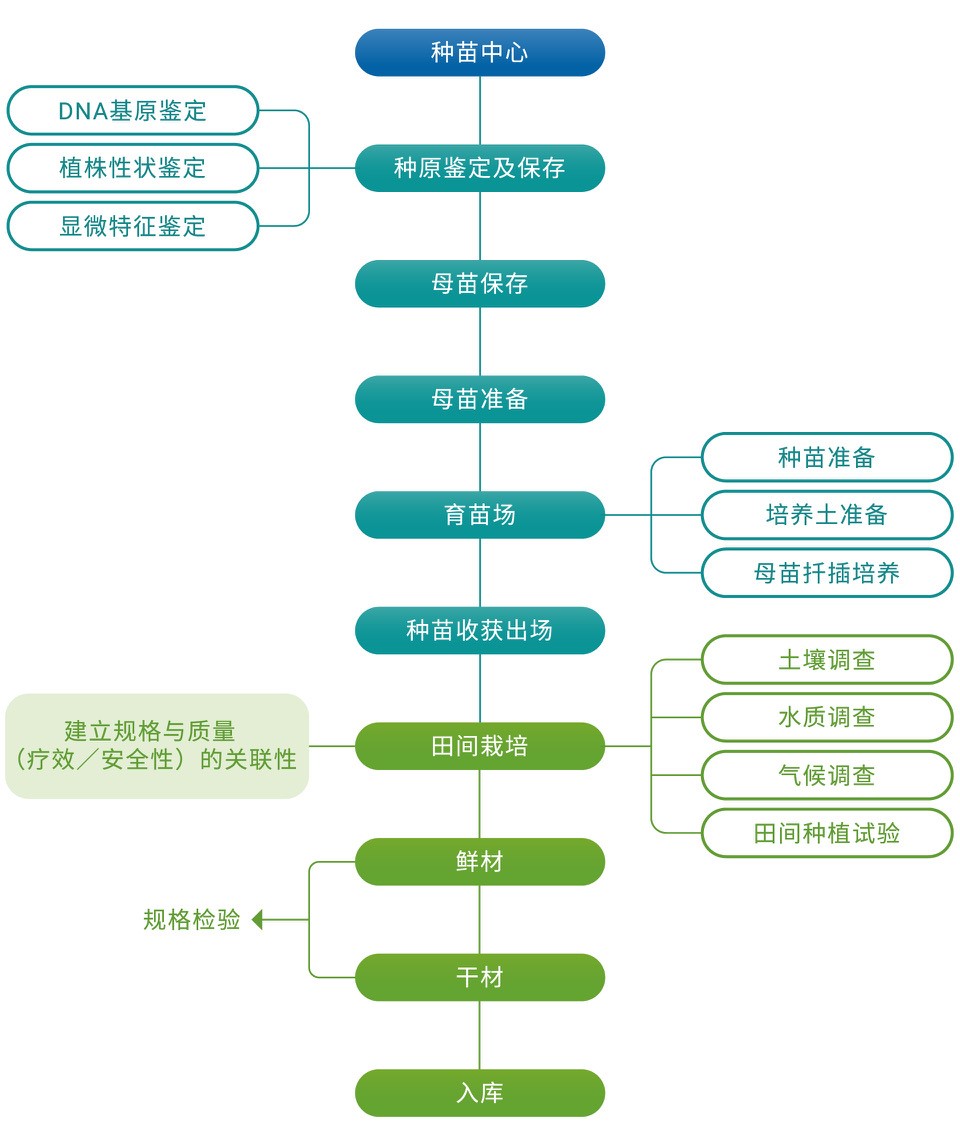 Medicinal_Herbs_Cultivation_sc_v2